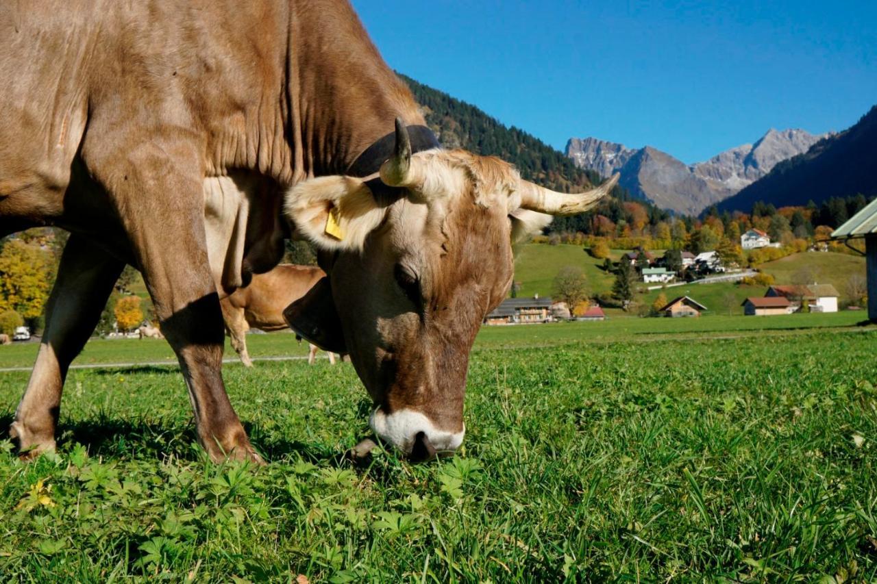 Wiesenblick Oberstdorf Bagian luar foto